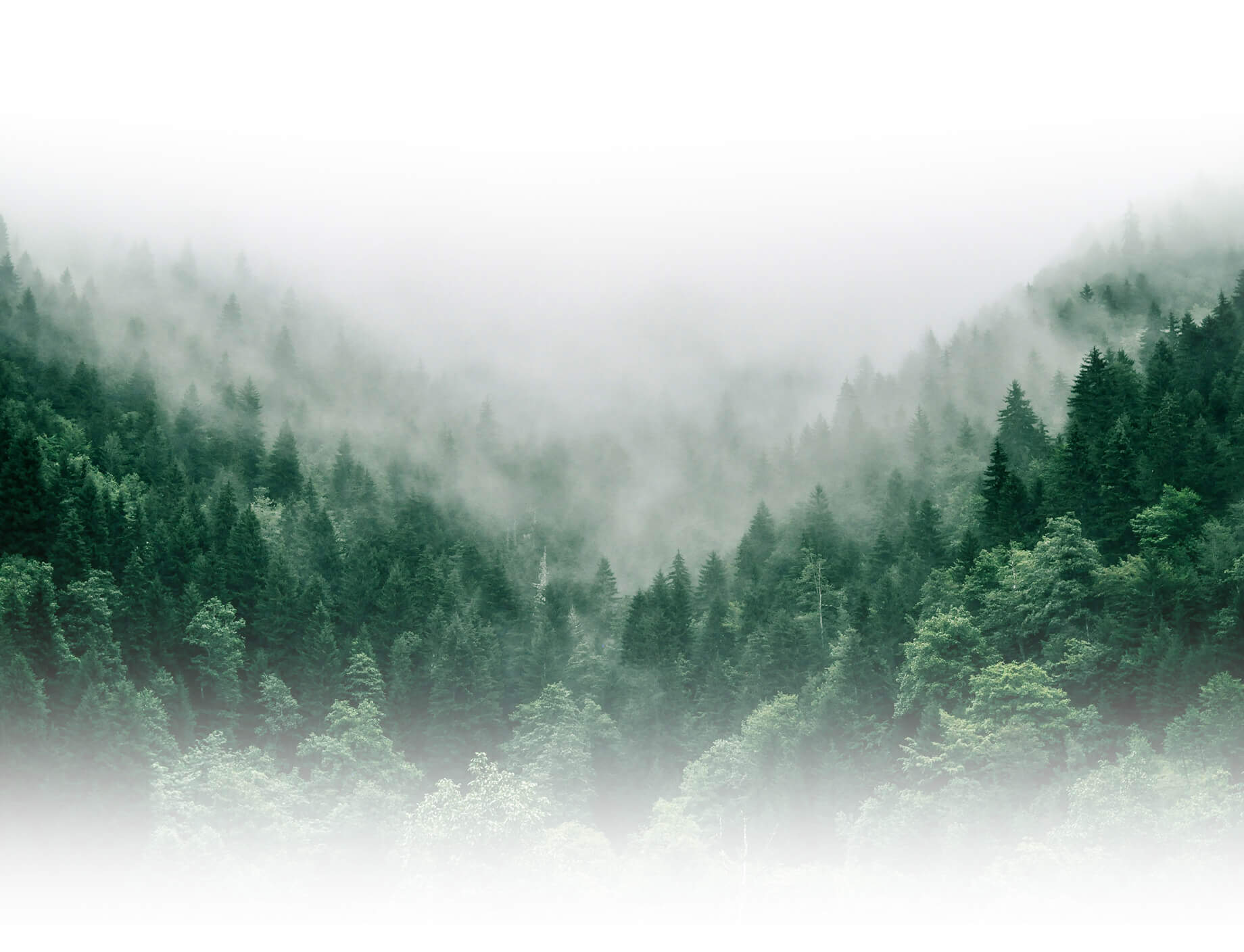 力王新能源與可持續(xù)發(fā)展