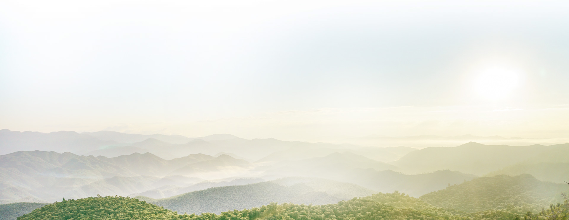 可持續(xù)發(fā)展